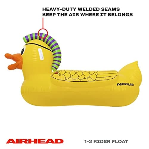 AIRHEAD Punk Duck Inflatable Pool Float Large | Heavy Gauge PVC, 70 x 57-inches, 1-2 Rider Pool & Lake Float thumbnail 3