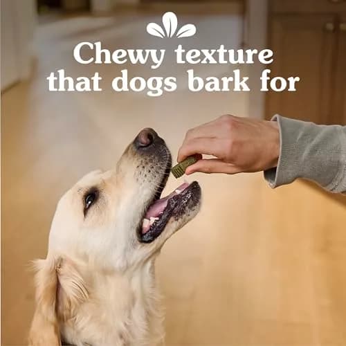 Greenies Anytime Bites Dog Treats, Original Flavor, 10.3 oz | Chewy, Low-Calorie Dog Snacks for Training & Treating thumbnail 5