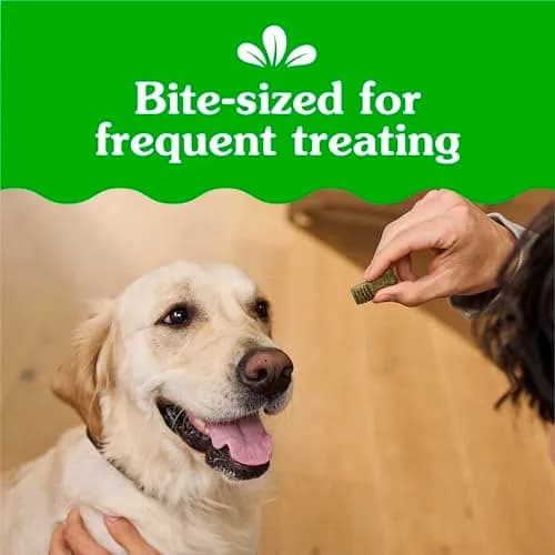 Greenies Dog Treats Mint Flavor 10.3 oz | Chewy, Natural, 13 Calories thumbnail 3