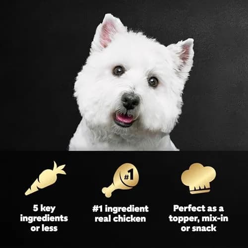 Cesar Simply Crafted Wet Dog Food Toppers, Chicken, 1.3 oz, 24 Count | Real Chicken, Easy Digest, Gourmet Meal Supplement thumbnail 2