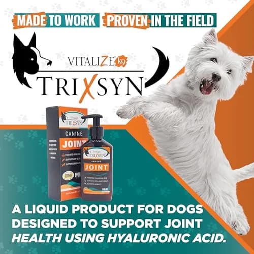 TRIXSYN Canine Liquid Hyaluronic Acid Support for Dogs 12 fl oz | Supports Joint & Hip Mobility thumbnail 2