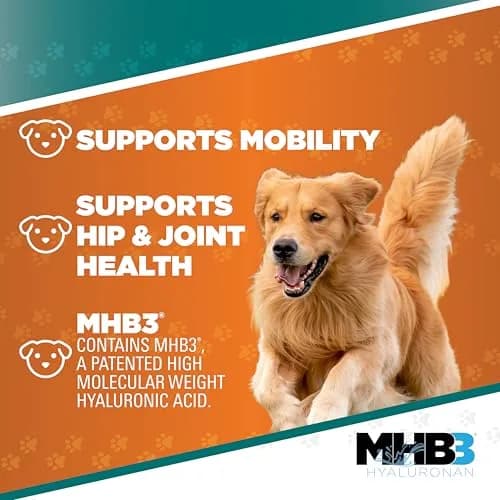 TRIXSYN Canine Liquid Hyaluronic Acid Support for Dogs 12 fl oz | Supports Joint & Hip Mobility thumbnail 3