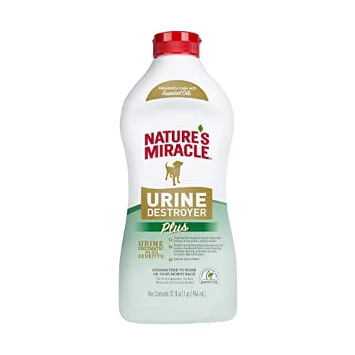 Nature's Miracle Dog Urine Destroyer Plus Enzymatic Cleaner 946ml (32 Fl Oz) | Tough on Dog Urine Stains & Odors thumbnail 1