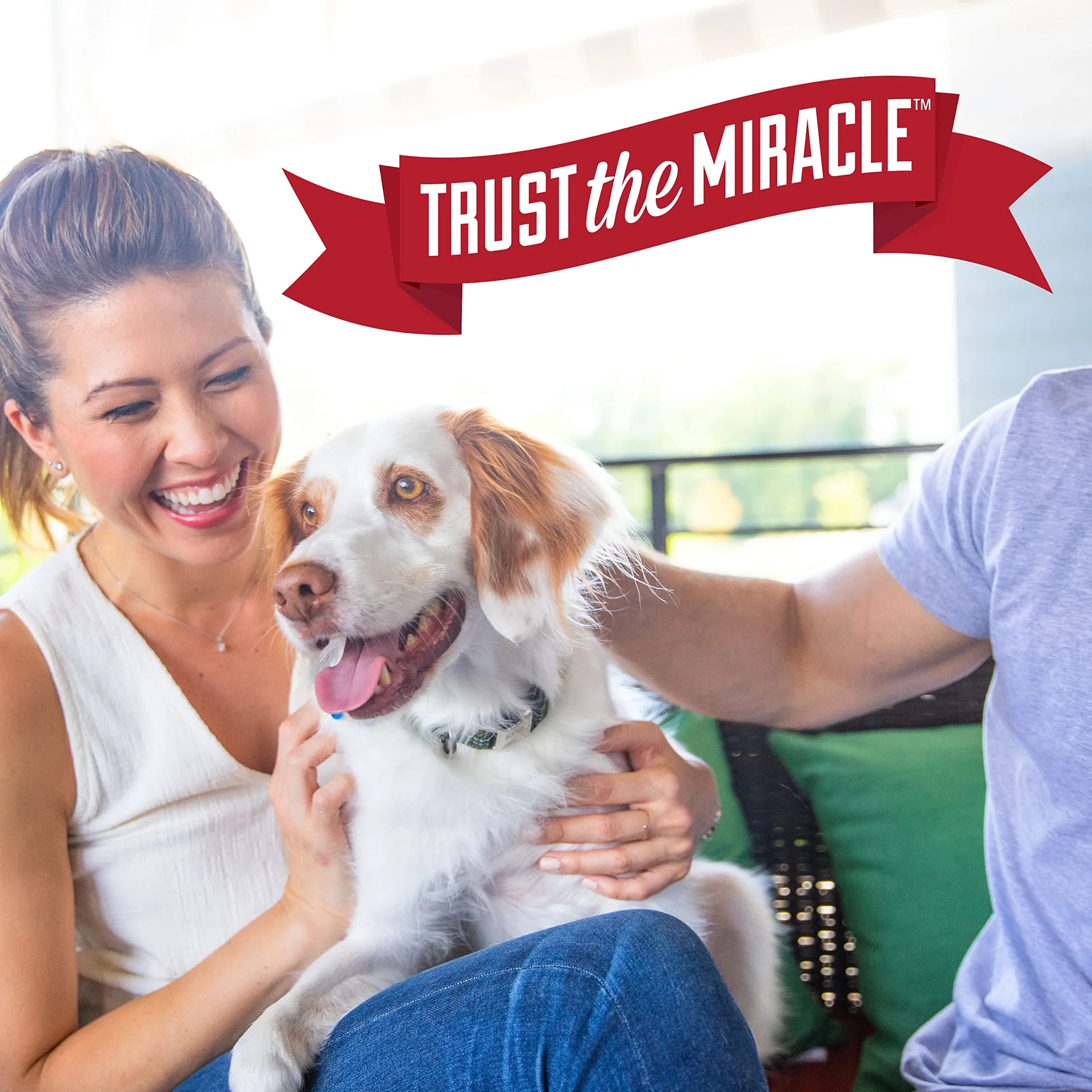 Nature's Miracle Dog Urine Destroyer Plus Enzymatic Cleaner 946ml (32 Fl Oz) | Tough on Dog Urine Stains & Odors - view 8