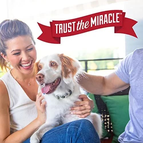 Nature's Miracle Dog Urine Destroyer Plus Enzymatic Cleaner 946ml (32 Fl Oz) | Tough on Dog Urine Stains & Odors thumbnail 8