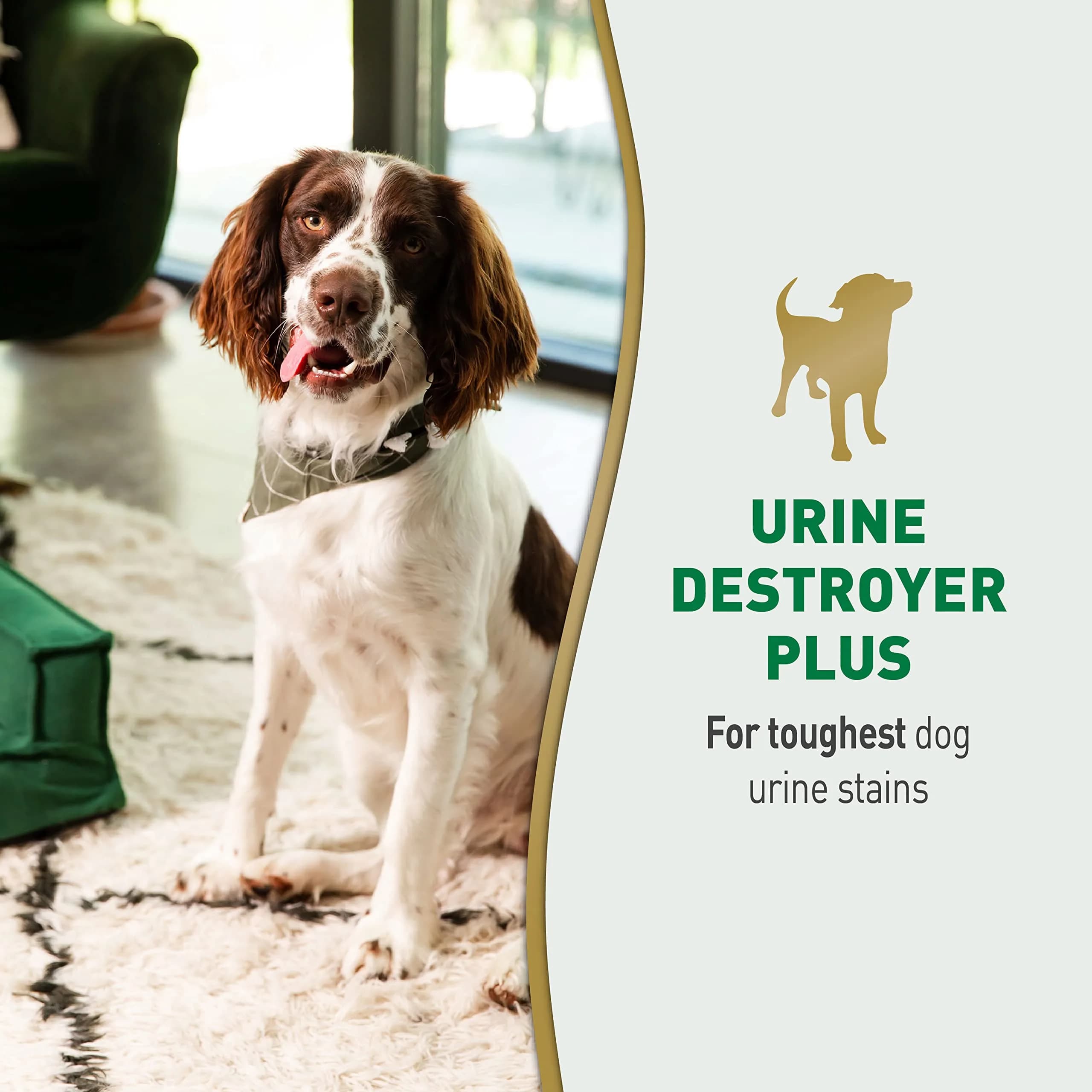 Nature's Miracle Dog Urine Destroyer Plus Enzymatic Cleaner 946ml (32 Fl Oz) | Tough on Dog Urine Stains & Odors - view 2