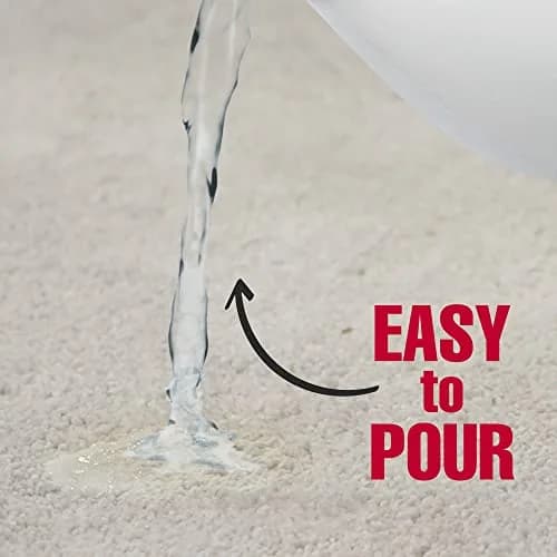 Nature's Miracle Dog Urine Destroyer Plus Enzymatic Cleaner 3.78 L (1 gal) | Trusted Pet Mess Cleanup thumbnail 4