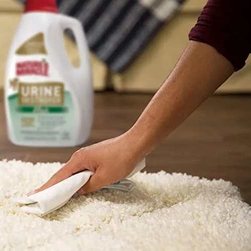 Nature's Miracle Dog Urine Destroyer Plus Enzymatic Cleaner 3.78 L (1 gal) | Trusted Pet Mess Cleanup thumbnail 7