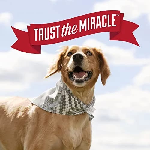 Nature's Miracle Dog Urine Destroyer Plus Foam 492ml (17.5 Fl Oz) | Enzymatic Cleaner for Tough Dog Urine Stains thumbnail 8