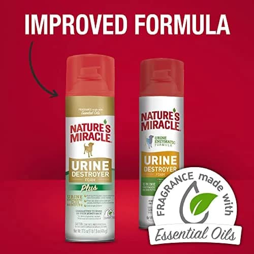 Nature's Miracle Dog Urine Destroyer Plus Foam 492ml (17.5 Fl Oz) | Enzymatic Cleaner for Tough Dog Urine Stains thumbnail 9