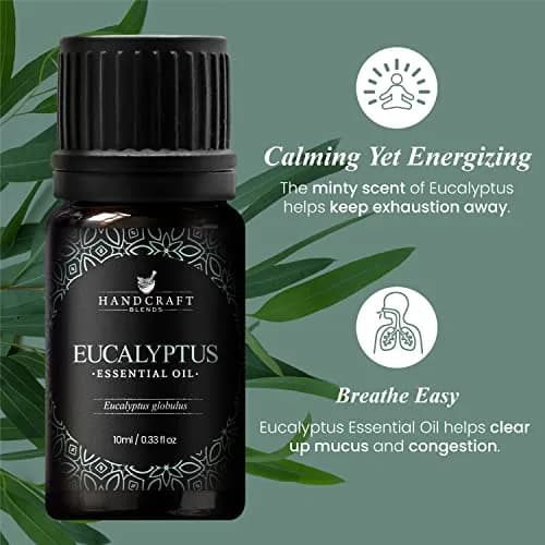 Handcraft Blends Eucalyptus Essential Oil 10ml (0.33 Fl Oz) | Pure & Natural for Diffuser, Soap Making thumbnail 4