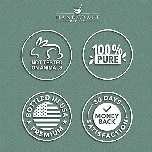Handcraft Blends Eucalyptus Essential Oil 10ml (0.33 Fl Oz) | Pure & Natural for Diffuser, Soap Making thumbnail 7