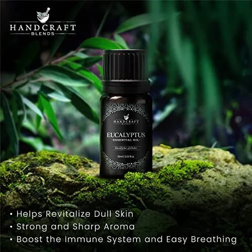 Handcraft Blends Eucalyptus Essential Oil 10ml (0.33 Fl Oz) | Pure & Natural for Diffuser, Soap Making thumbnail 3