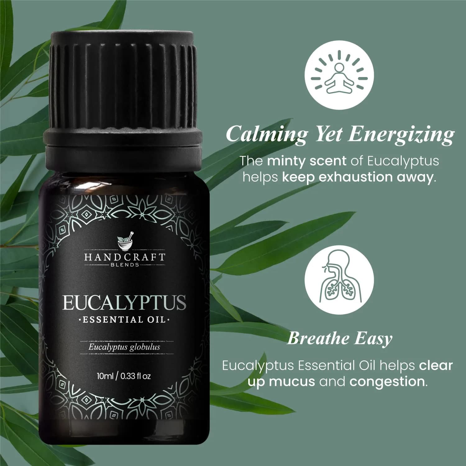 Handcraft Blends Eucalyptus Essential Oil 10ml (0.33 Fl Oz) | Pure & Natural for Diffuser, Soap Making - view 4