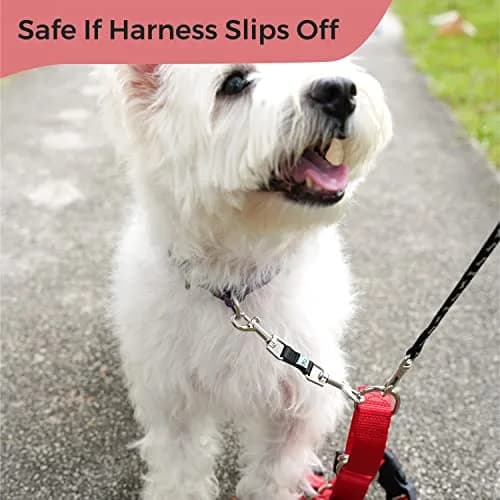 Gentle Creatures Collar Companion Mini Dog Safety Backup Clip 12cm (4.7in) | Prevents Escapes for Small Dogs thumbnail 5
