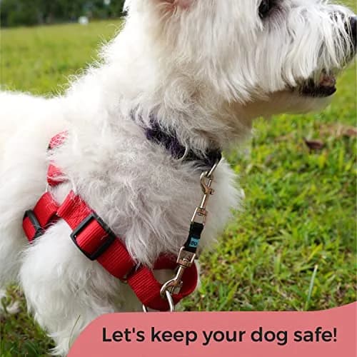 Gentle Creatures Collar Companion Mini Dog Safety Backup Clip 12cm (4.7in) | Prevents Escapes for Small Dogs thumbnail 6