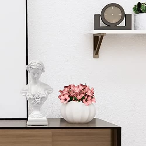 Norrclp Greek Statue of Venus Goddess Bust 21.8 cm (8.6in) | Classic Roman Head Sculpture for Home Decor thumbnail 6