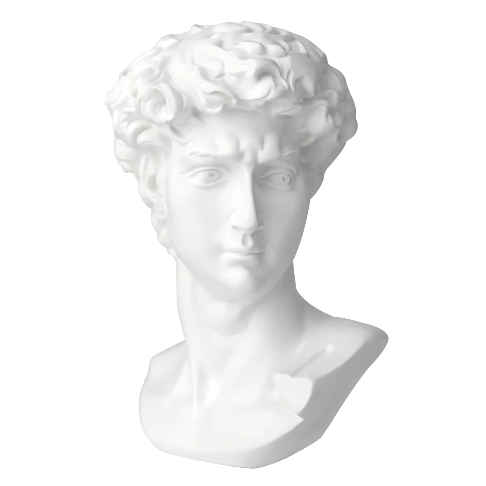 Norrclp 11in Greek Statue of David Bust, Classic Roman Head Sculpture | Resin Art Decoration
