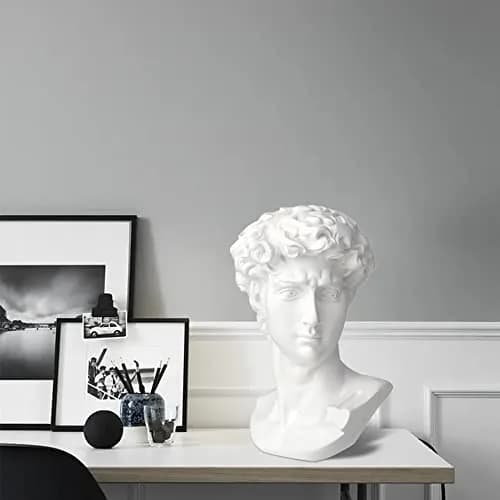 Norrclp 11in Greek Statue of David Bust, Classic Roman Head Sculpture | Resin Art Decoration thumbnail 4