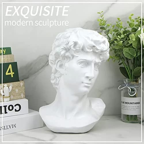 Norrclp 11in Greek Statue of David Bust, Classic Roman Head Sculpture | Resin Art Decoration thumbnail 5