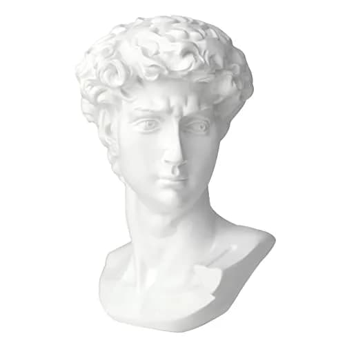 Norrclp 11in Greek Statue of David Bust, Classic Roman Head Sculpture | Resin Art Decoration thumbnail 1