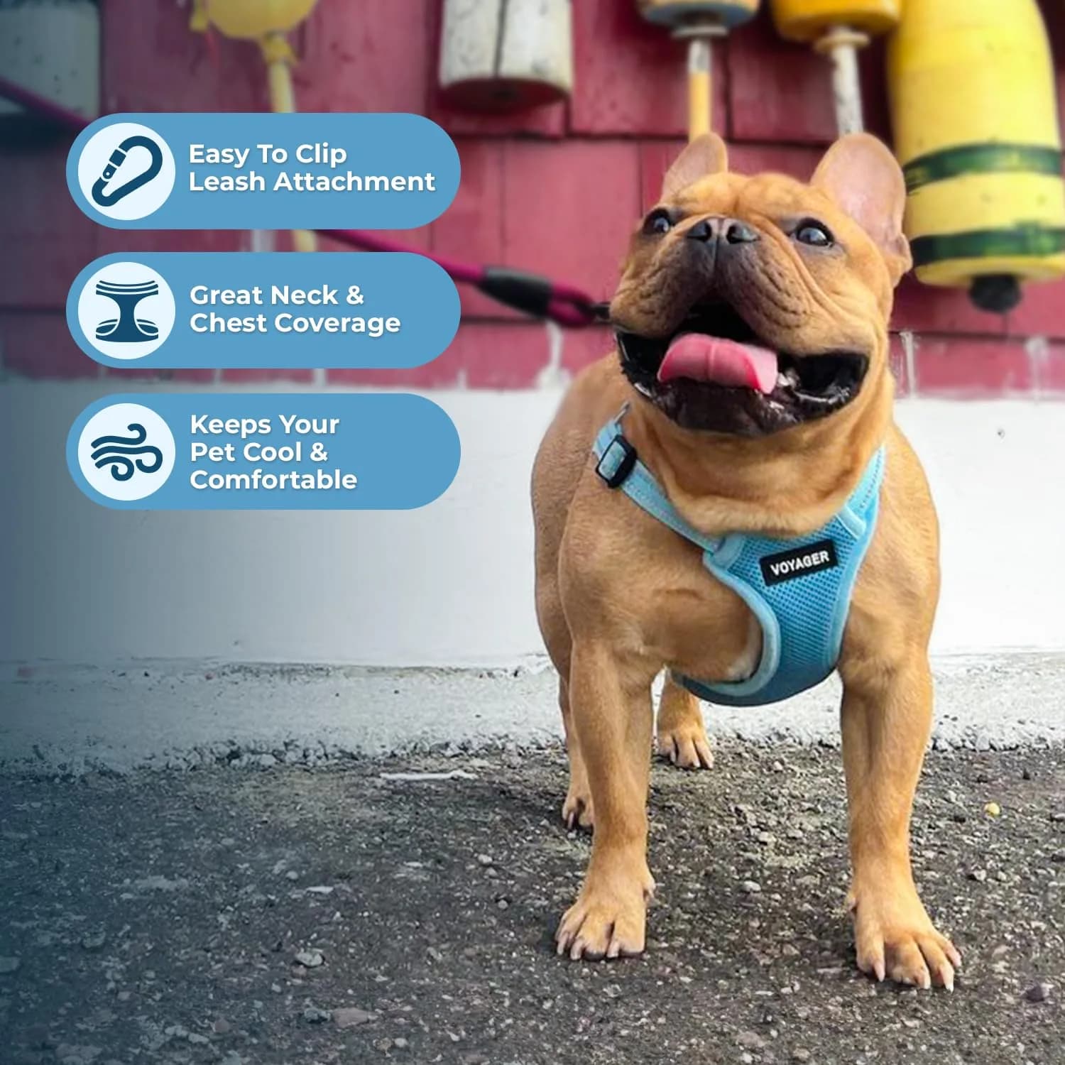 Best Pet Supplies Voyager Step-In Mesh Dog Harness & Leash Set, XL (Baby Blue) | No-Pull, Breathable, Reflective - view 5