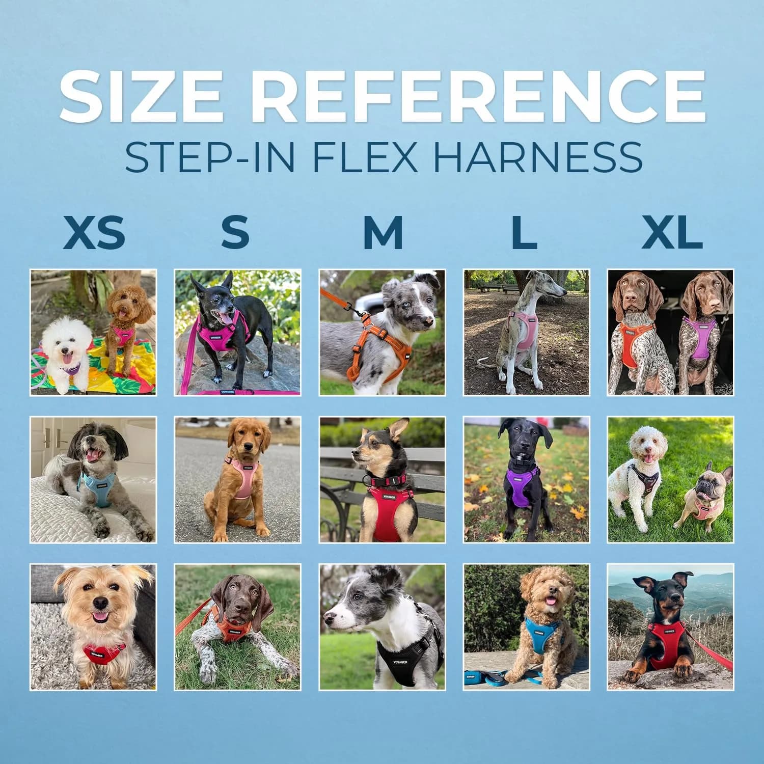 Best Pet Supplies Voyager Step-In Mesh Dog Harness & Leash Set, XL (Baby Blue) | No-Pull, Breathable, Reflective - view 6