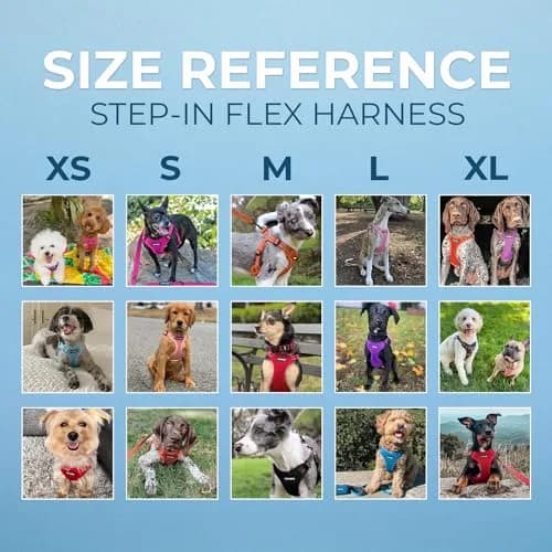 Best Pet Supplies Voyager Step-In Mesh Dog Harness & Leash Set, XL (Baby Blue) | No-Pull, Breathable, Reflective thumbnail 6
