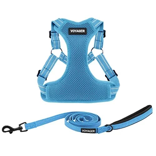 Best Pet Supplies Voyager Step-In Mesh Dog Harness & Leash Set, XL (Baby Blue) | No-Pull, Breathable, Reflective thumbnail 1