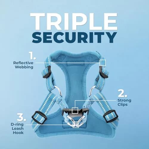 Best Pet Supplies Voyager Step-In Mesh Dog Harness & Leash Set, XL (Baby Blue) | No-Pull, Breathable, Reflective thumbnail 2