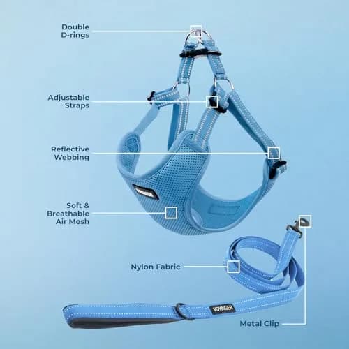 Best Pet Supplies Voyager Step-In Mesh Dog Harness & Leash Set, XL (Baby Blue) | No-Pull, Breathable, Reflective thumbnail 3