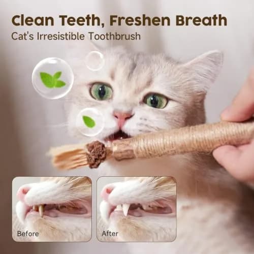 Potaroma Natural Silvervine Sticks Cat Toys 3 Pack | Catnip Blend Chew Toys for Dental Care thumbnail 4