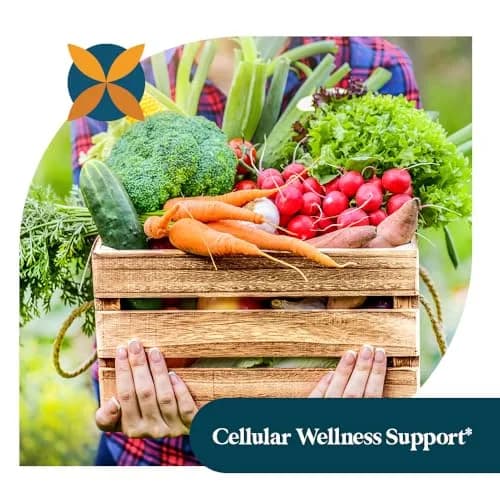 Pattern Wellness Odorless Organic Garlic Supplement – 30 Capsules | Supports Circulatory & Immune Health thumbnail 6