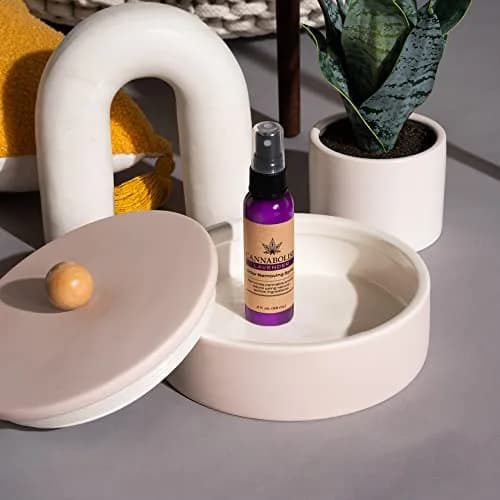 Cannabolish Lavender Odor Removing Spray and Air Freshener Travel Size 59ml (2 fl. oz.) | Plant-Based Smoke Odor Eliminator thumbnail 4