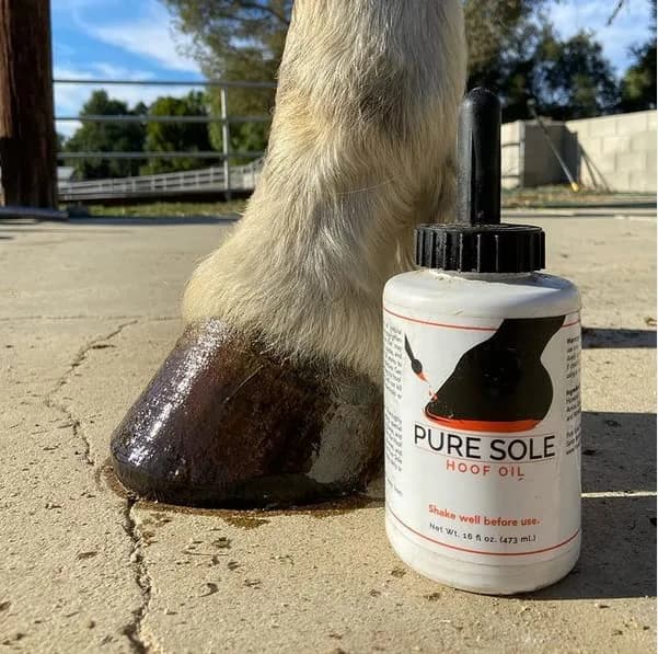 Pure Sole Hoof Oil - All Natural Horse Hoof Conditioner with Brush Applicator 16 fl oz | Strengthens & Moisturizes Hooves thumbnail 6
