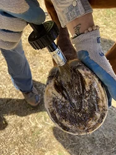 Pure Sole Hoof Oil - All Natural Horse Hoof Conditioner with Brush Applicator 16 fl oz | Strengthens & Moisturizes Hooves thumbnail 10