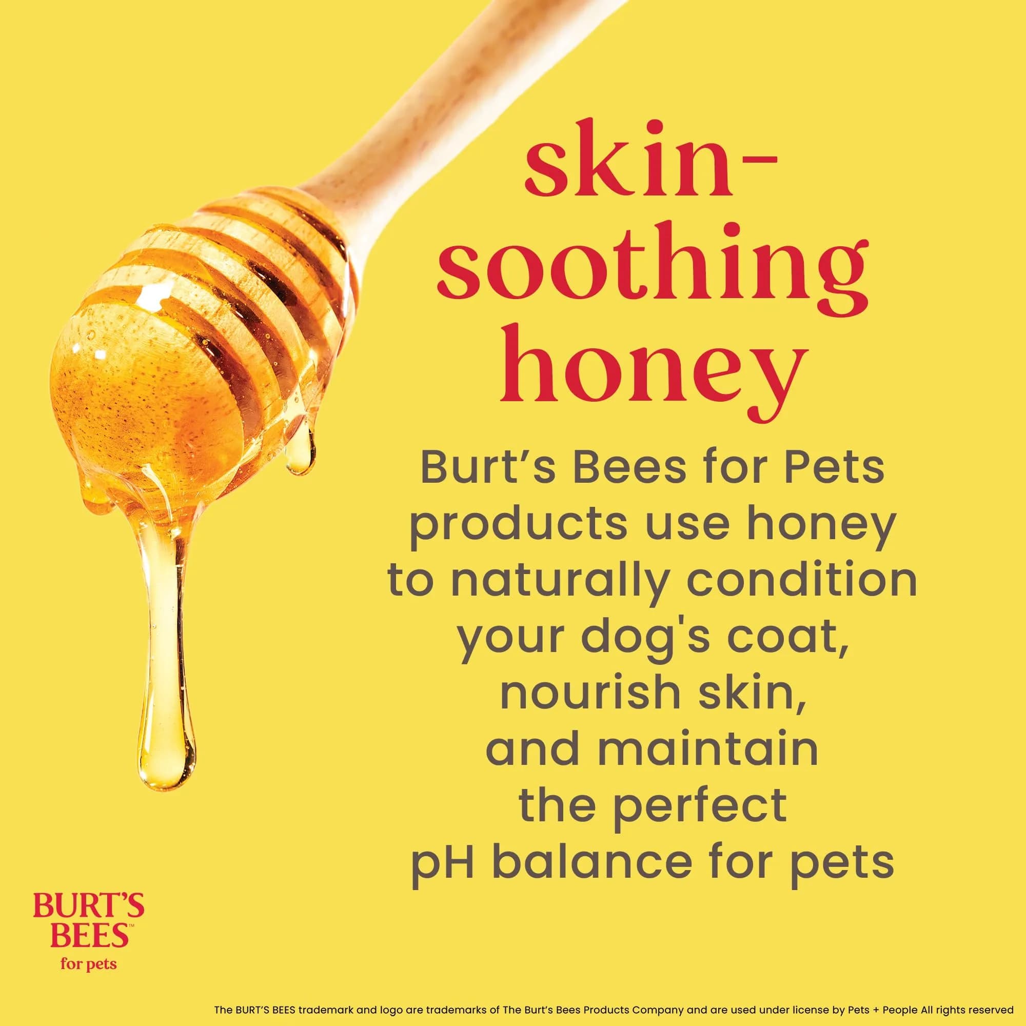 Burt's Bees for Pets Itch Soothing Dog Shampoo, Honeysuckle & Honey, 96 Fl Oz (2.84 L) | pH-Balanced for Dogs - view 6