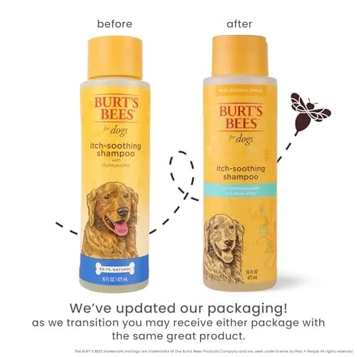 Burt's Bees for Pets Itch Soothing Dog Shampoo, Honeysuckle & Honey, 96 Fl Oz (2.84 L) | pH-Balanced for Dogs thumbnail 2