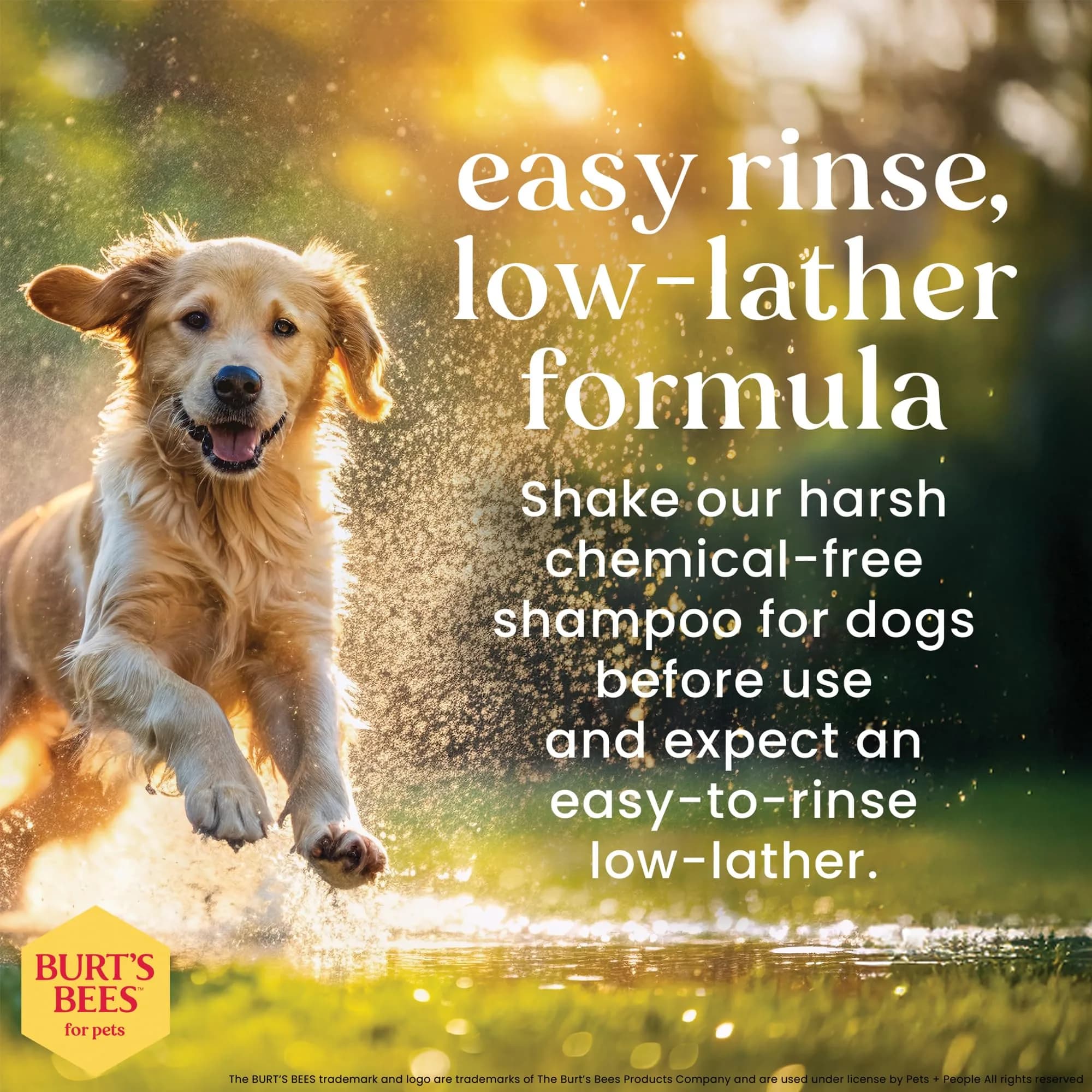 Burt's Bees for Pets Itch Soothing Dog Shampoo, Honeysuckle & Honey, 96 Fl Oz (2.84 L) | pH-Balanced for Dogs - view 4