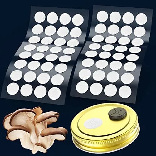 Biomed Solutions 64Pcs 20mm Synthetic Filter Discs Hydrophobic PTFE 0.3um for Mushroom Cultivation thumbnail 1