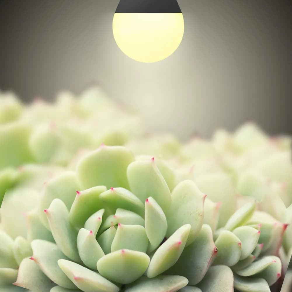 MFXMF 6 Pack LED Grow Light Bulbs | 9W Full Spectrum A19, Replaces 100W, 20,000 Hour Lifespan - view 2