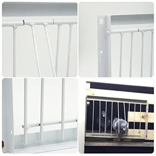 OIXXAF Pigeon Door Entrance 30cm (11.8in) x 26cm (10.2in) | One-Way Entry for Racing Pigeon Cages thumbnail 6