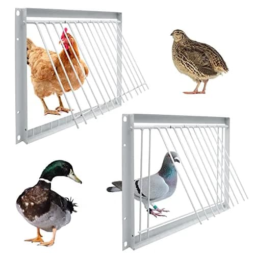 OIXXAF Pigeon Door Entrance 30cm (11.8in) x 26cm (10.2in) | One-Way Entry for Racing Pigeon Cages thumbnail 7