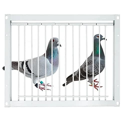 OIXXAF Pigeon Door Entrance 30cm (11.8in) x 26cm (10.2in) | One-Way Entry for Racing Pigeon Cages thumbnail 8