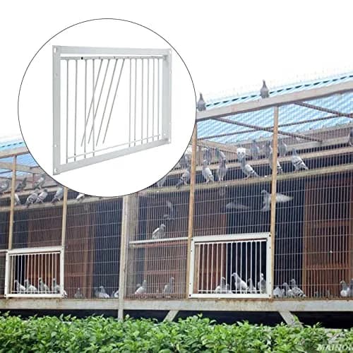 OIXXAF Pigeon Door Entrance 30cm (11.8in) x 26cm (10.2in) | One-Way Entry for Racing Pigeon Cages thumbnail 9