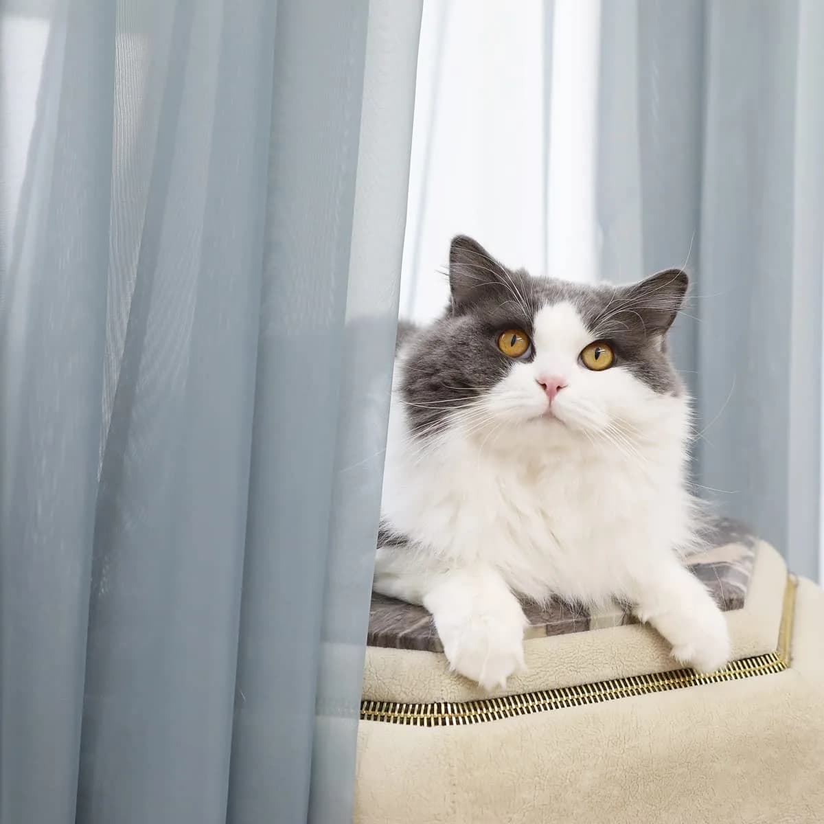 PHILEASY Light Gray Sheer Curtains 72 Inches Long (183 cm) — 2 Panels for Living Room & Bedroom - view 2