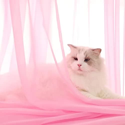 PHILEASY Pink Sheer Curtains 120" Long - Pack of 2 Light-Filtering Rod Pocket Panels thumbnail 2