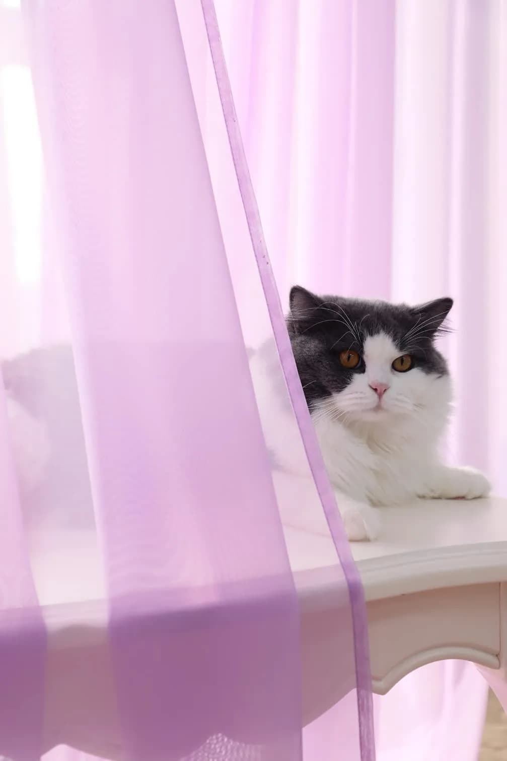 PHILEASY Purple Sheer Curtains 145" L x 52" W - Pack of 2 Light-Filtering Rod Pocket Panels - view 2