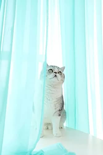 PHILEASY Lake Blue Sheer Curtains 213 cm (84 Inches) Long | Light-Filtering Rod Pocket Panels thumbnail 2