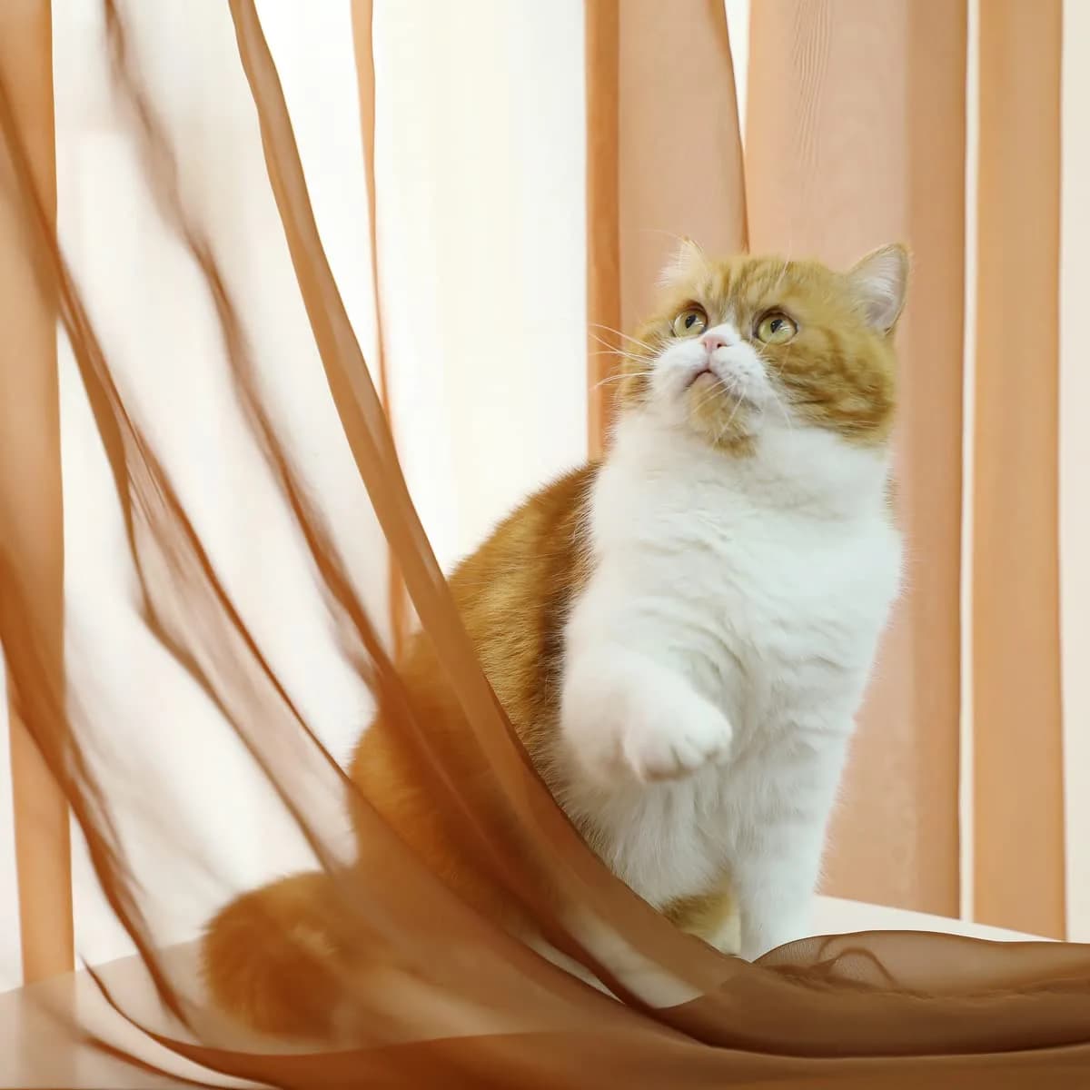 PHILEASY Brown Sheer Curtains 52"W x 84"L - Pack of 2 | Light-Filtering Rod Pocket Panels - view 2